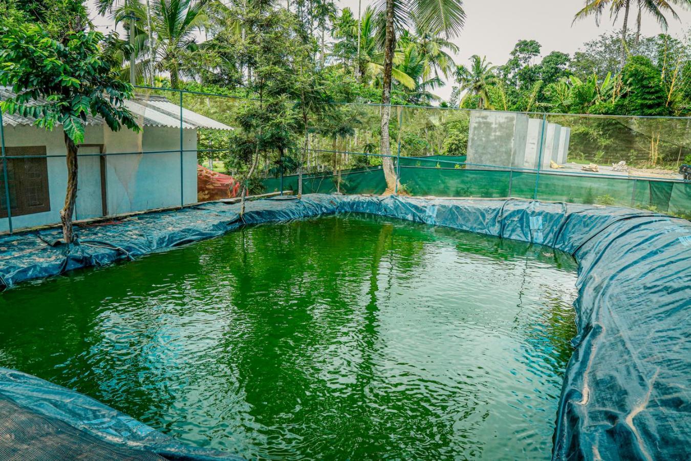 Green Auro By Bob Hotels Wayanad Eksteriør billede